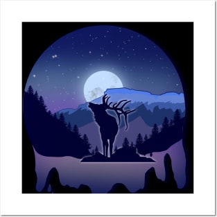 Colorado night Posters and Art